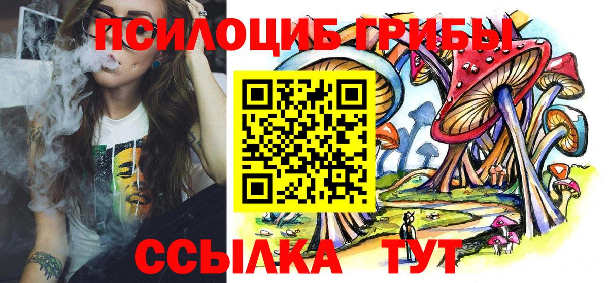 Гудермес  Галлюциногенные грибы Psilocybine cubensis  Вход с VPN 