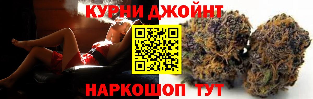 Каннабис White Widow Гудермес